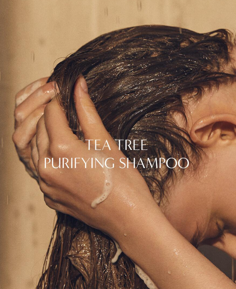 AROMATICA Tea Tree Purifying Shampoo 400ml